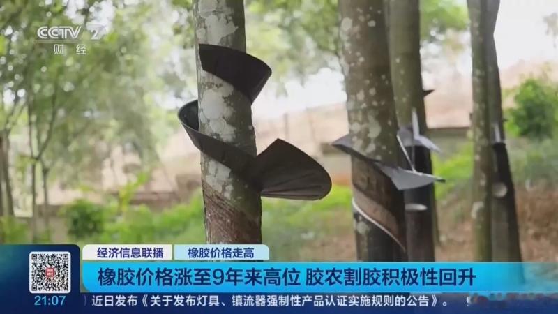橡胶涨到两万块一吨，可先笑出声的不是中国胶农，钱被谁赚走了？ 2026年10