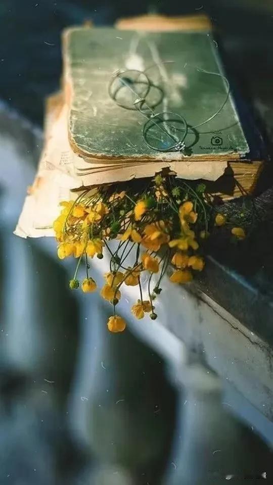 一段非常实在的话：“人总有一天是要死的，很多人整天都在忙着赚钱，但其实那只是浪费