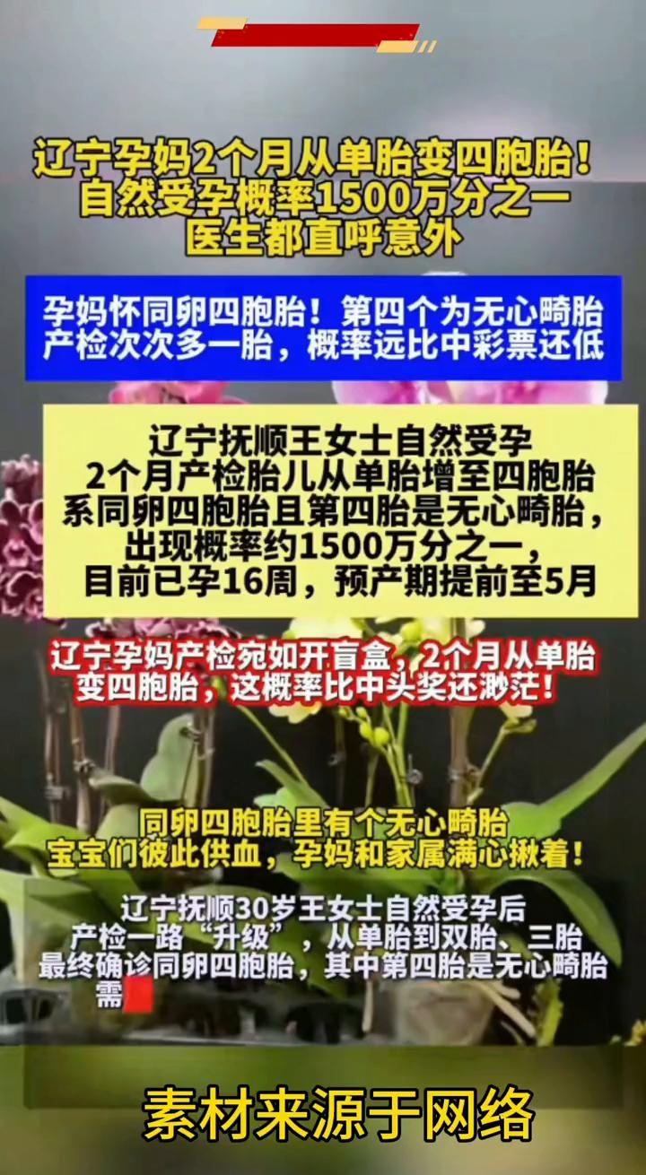 辽宁孕妈2个月从单胎变四胞胎，自然受孕概率1500万分之一，医生都直呼意外。孕