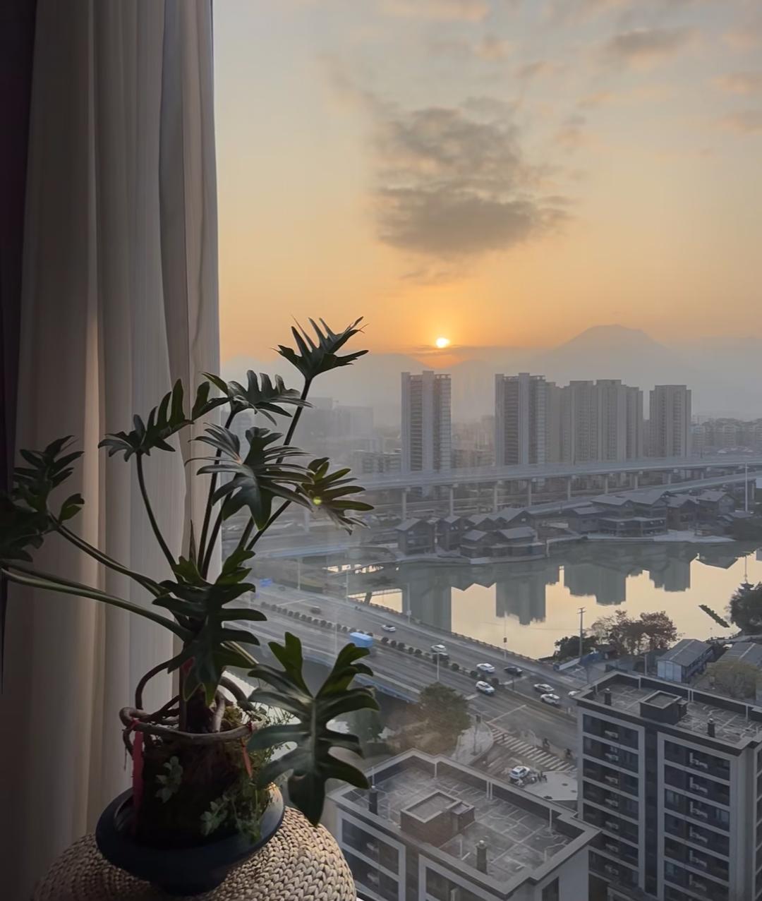 半夜接到女儿电话时，我手都抖成了筛子！女婿在上海出差突发心梗，前壁大血管100%