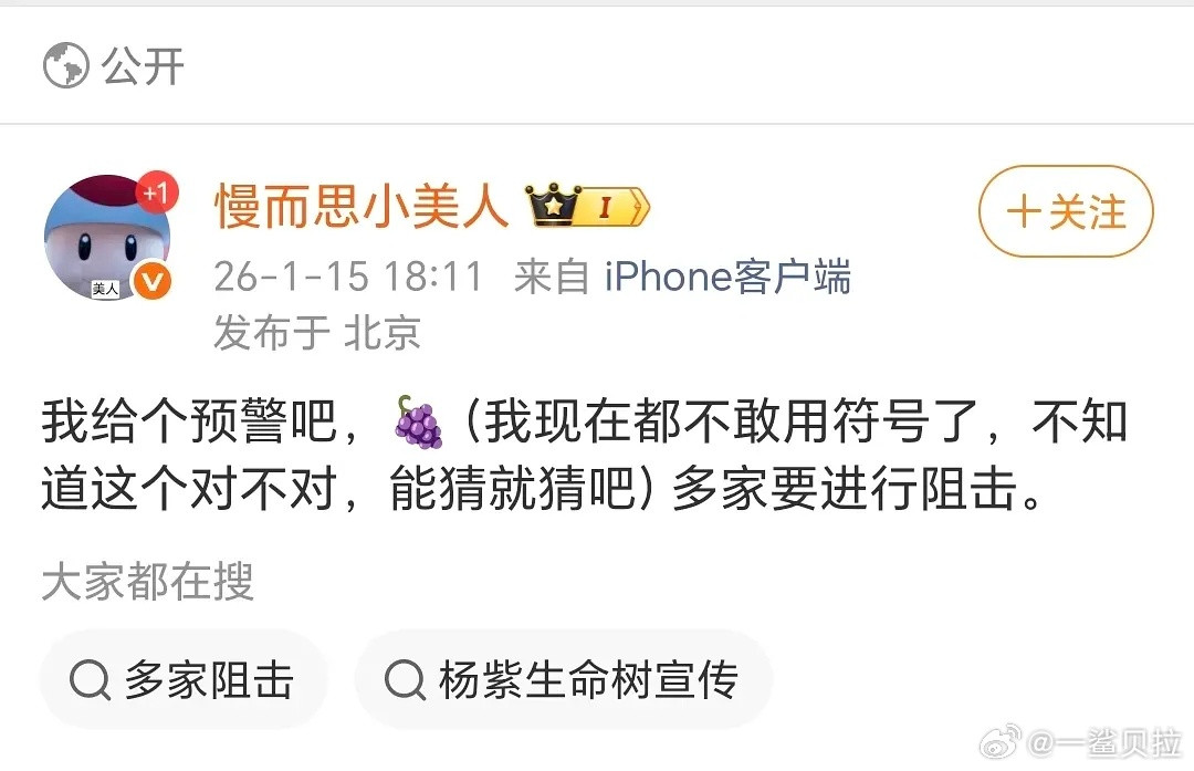 哪几家要害我紫？