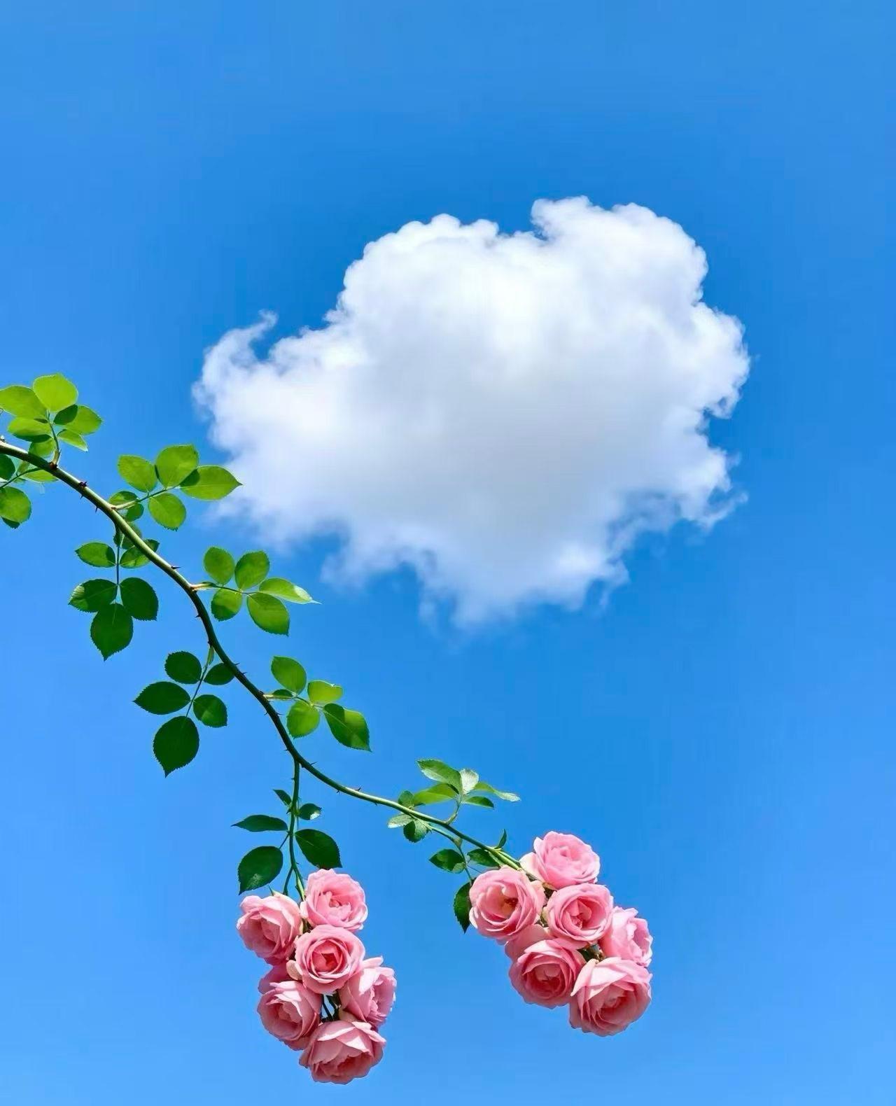 谁来保护我？--一名老师的呐喊在如今这个社会，你戳坏任何一个人的眼睛，导致轻伤