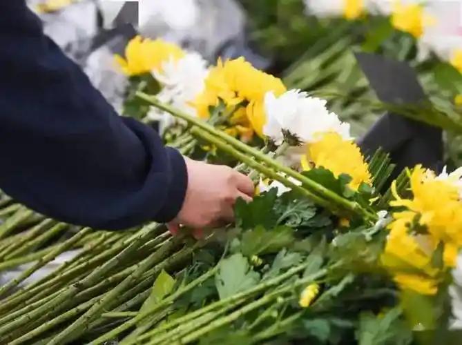 相信很多人都有这样的经历，清明祭祖前，家里老人总会反复叮嘱，这不能做那不能做，小