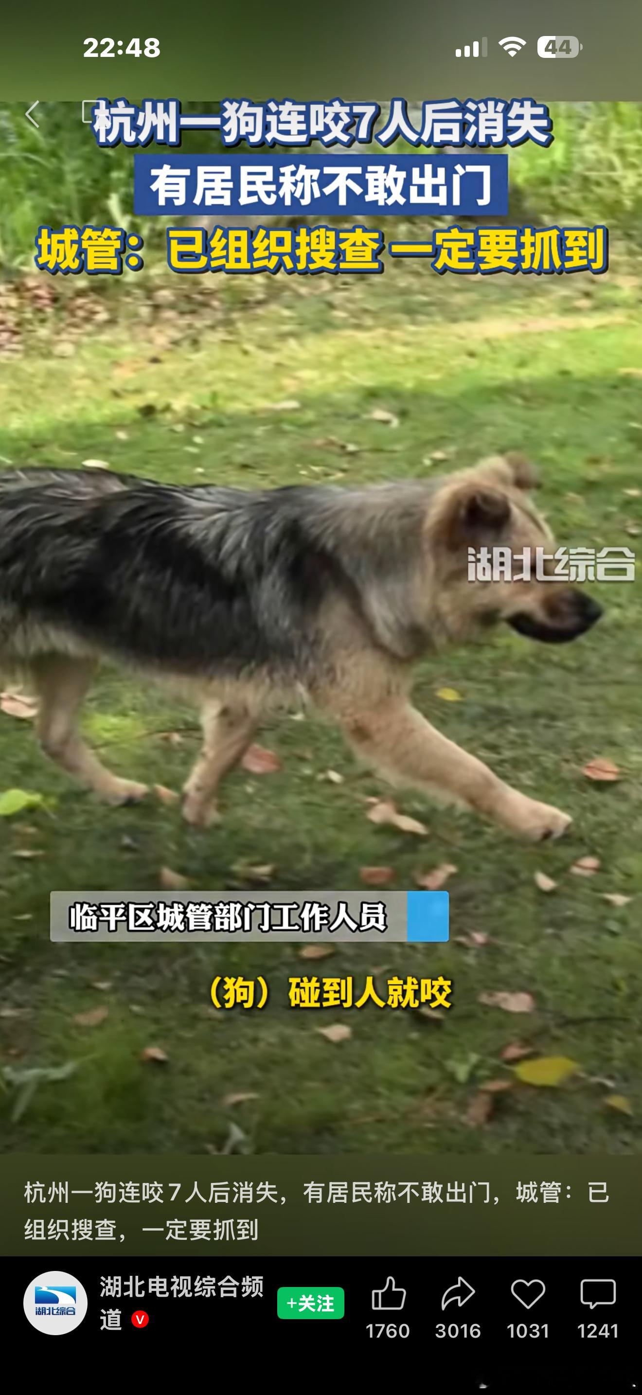 临平有些地方本来就荒，这野狗还是在村子里咬的人，确实难管……