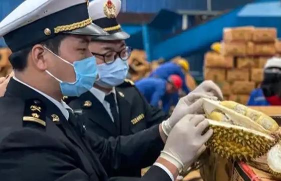赚中国人钱还毒害中国人？泰国榴莲这事越挖越吓人，很多中国人都爱吃，可谁能想到，这