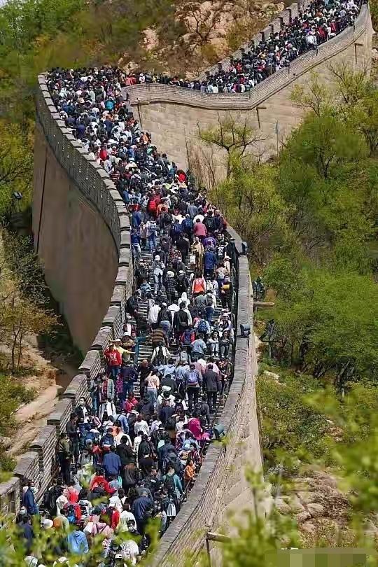 凌晨5点的泰山，不到10度。厕所里挤满了人——不是内急，是外面下着雨，只有这儿能