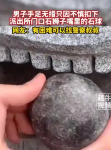 “万物皆有灵”最近，陕西一男子深夜开车时，车里突然跳出一只猫，男子本能地踩了刹车