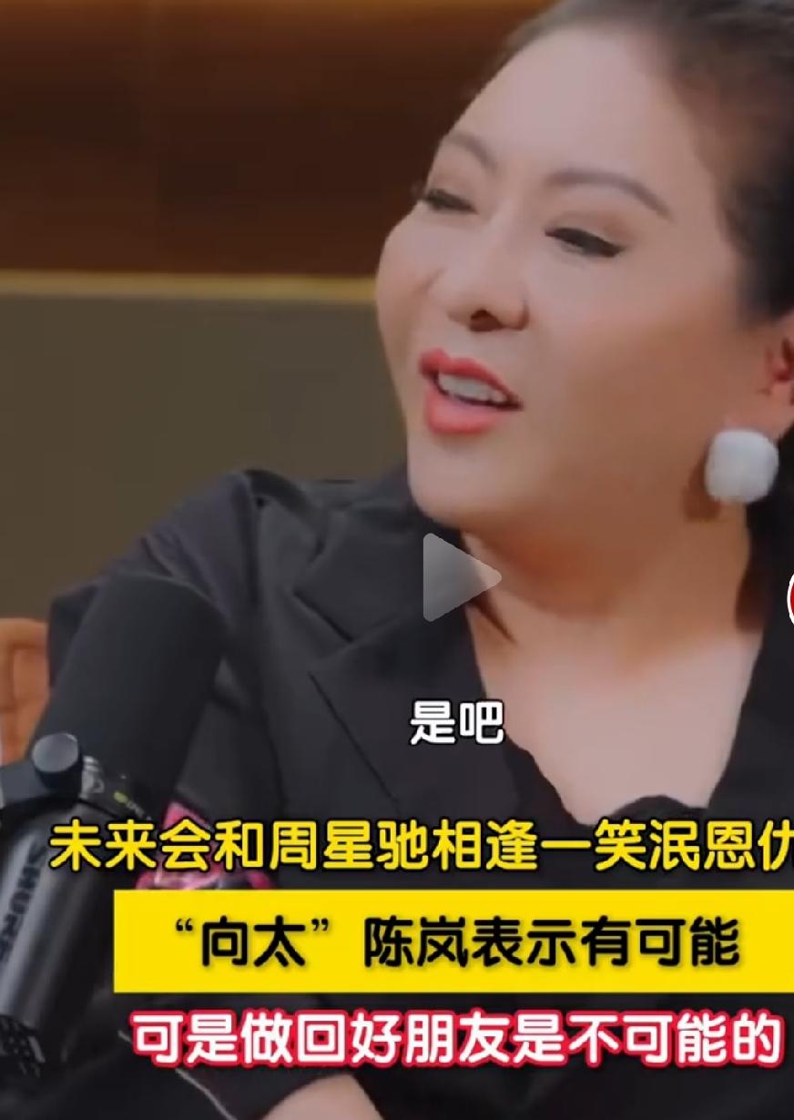 向太说和周星驰做不回好朋友在访谈节目中，向太陈岚谈及与周星驰