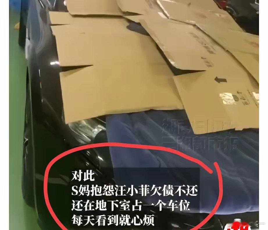 还别说，这事儿确实比较闹心……当初扣押了汪小菲一辆豪车，想拍卖了抵偿欠款，可是卖
