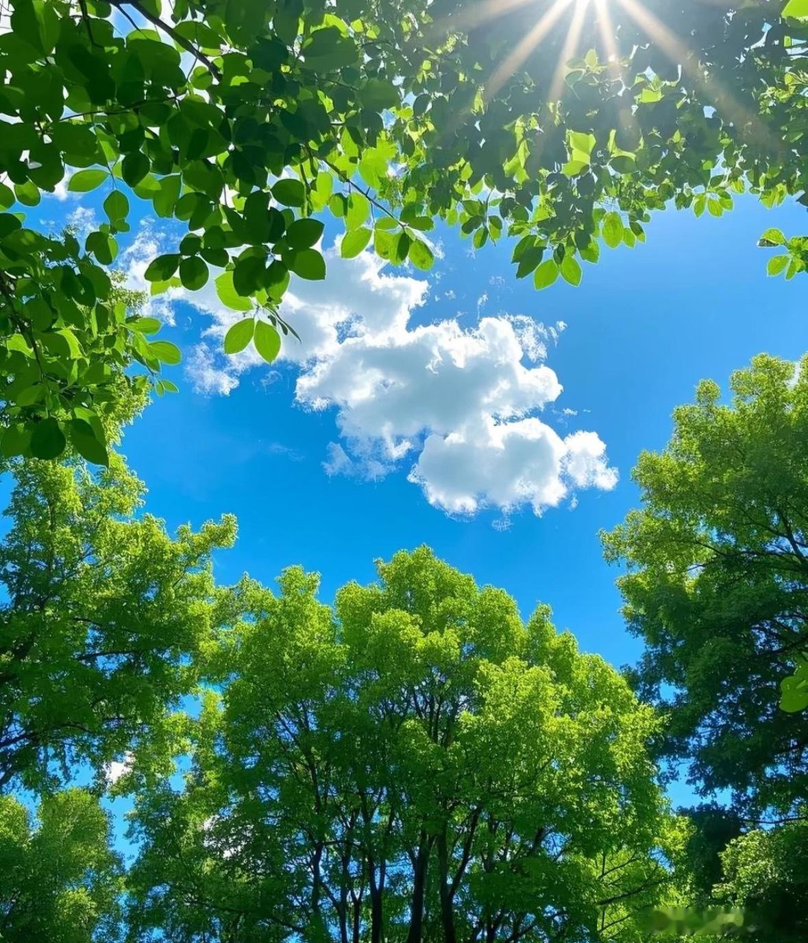 好消息！这些个股一季度业绩同比大增：（含净利润）北方稀土：4.31亿美克家居：1