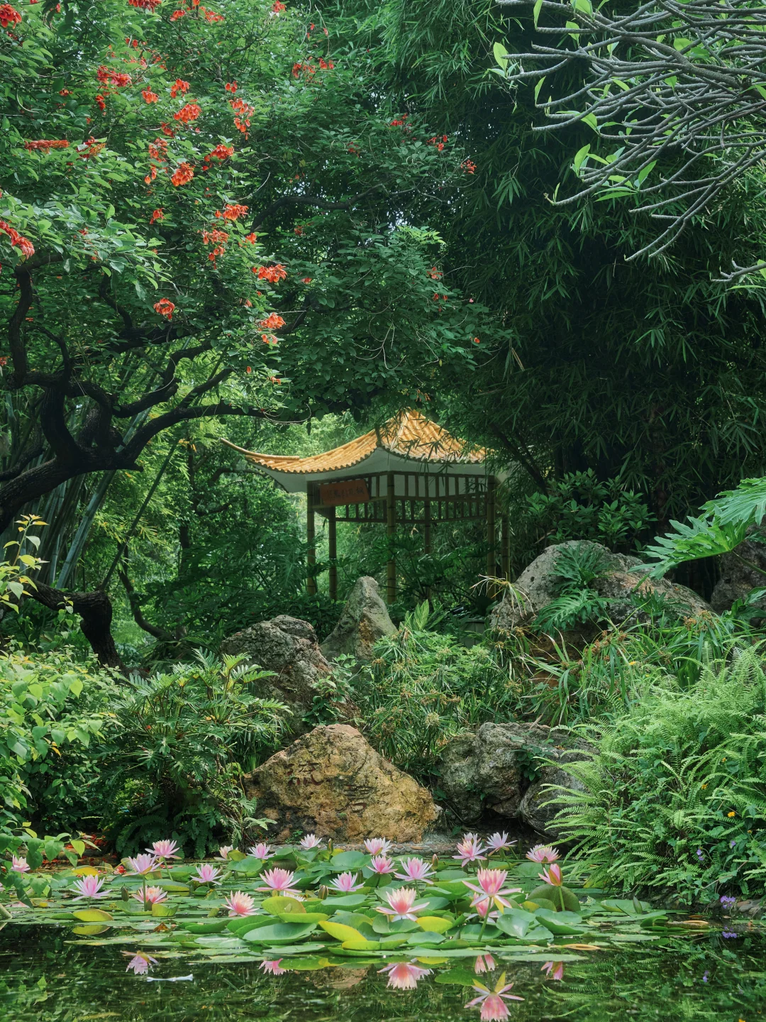 广州这个被绿意包围的暮春秘境💚太治愈了～