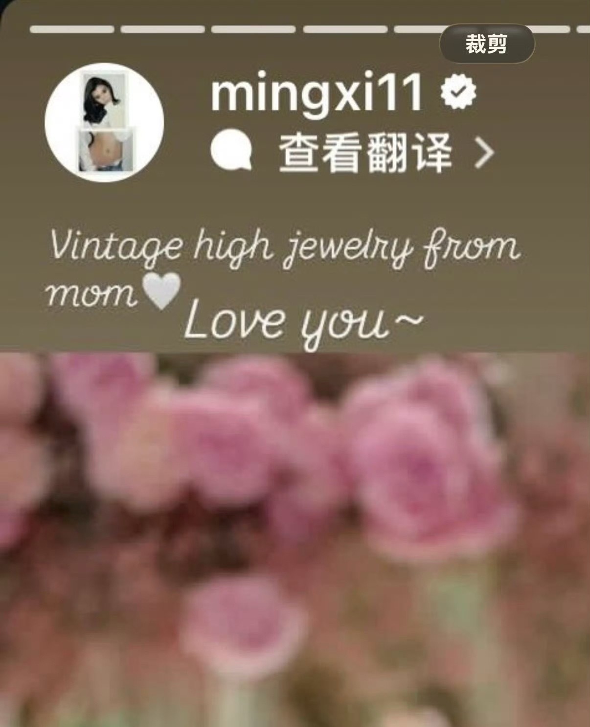 奚梦瑶晒照感谢婆婆奚梦瑶分享美照，颈间复古珠宝是婆婆赠予的礼物，配文温柔告白：来