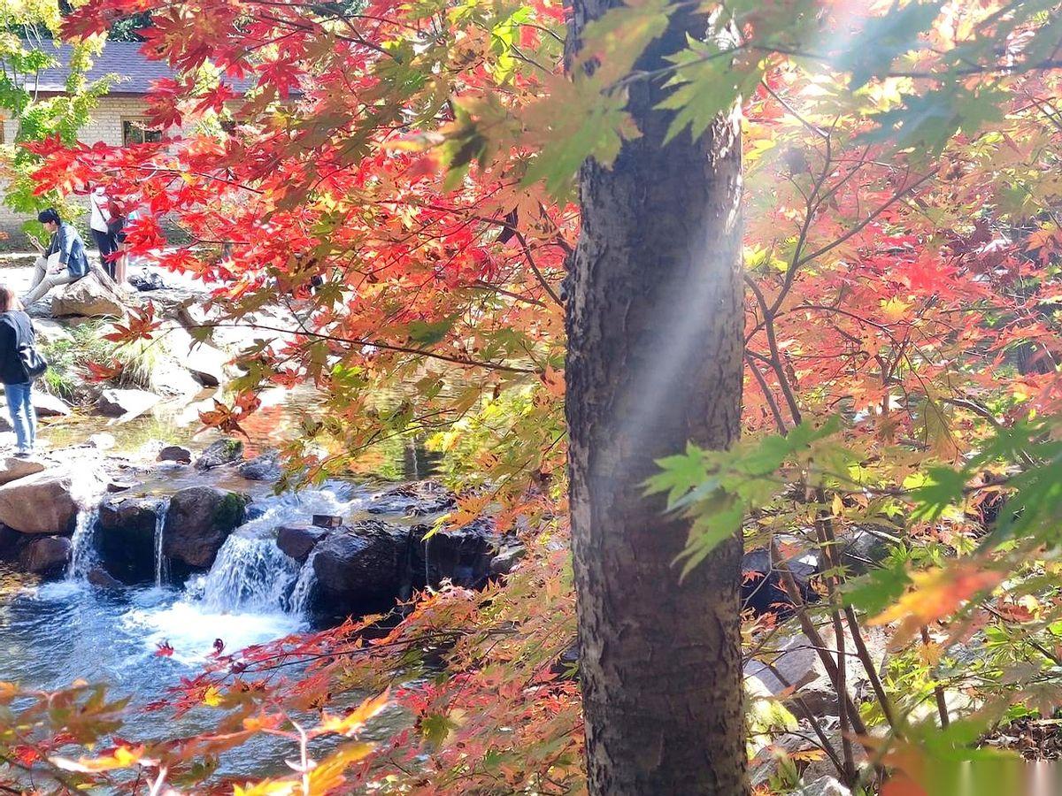 退休金刚到账，焐都没焐热，两千块，转头就给了儿媳妇。真的，我有时候都恍惚，这到