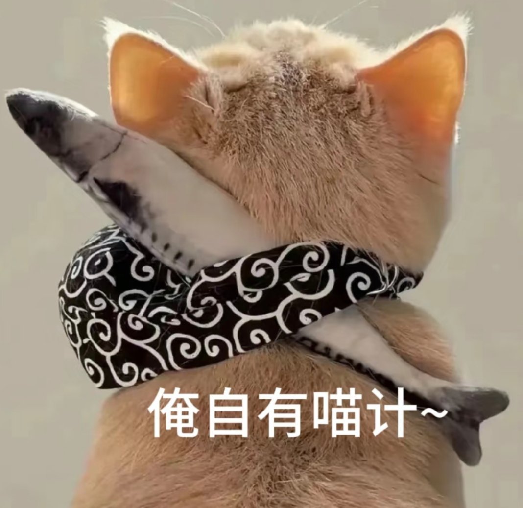 猫咪偷走3斤牛肉老板宠溺赞其大力七八斤的小猫摇摇晃晃叼走了3斤的牛肉​​​