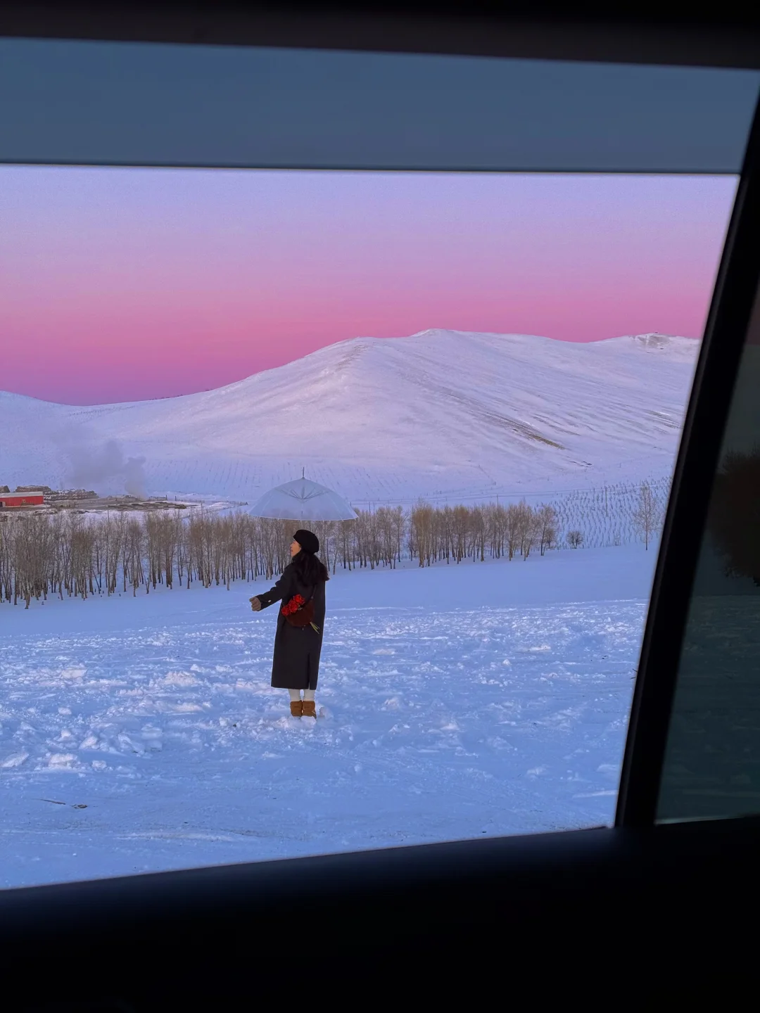 此刻的呼伦贝尔，已美成了北国诗篇～