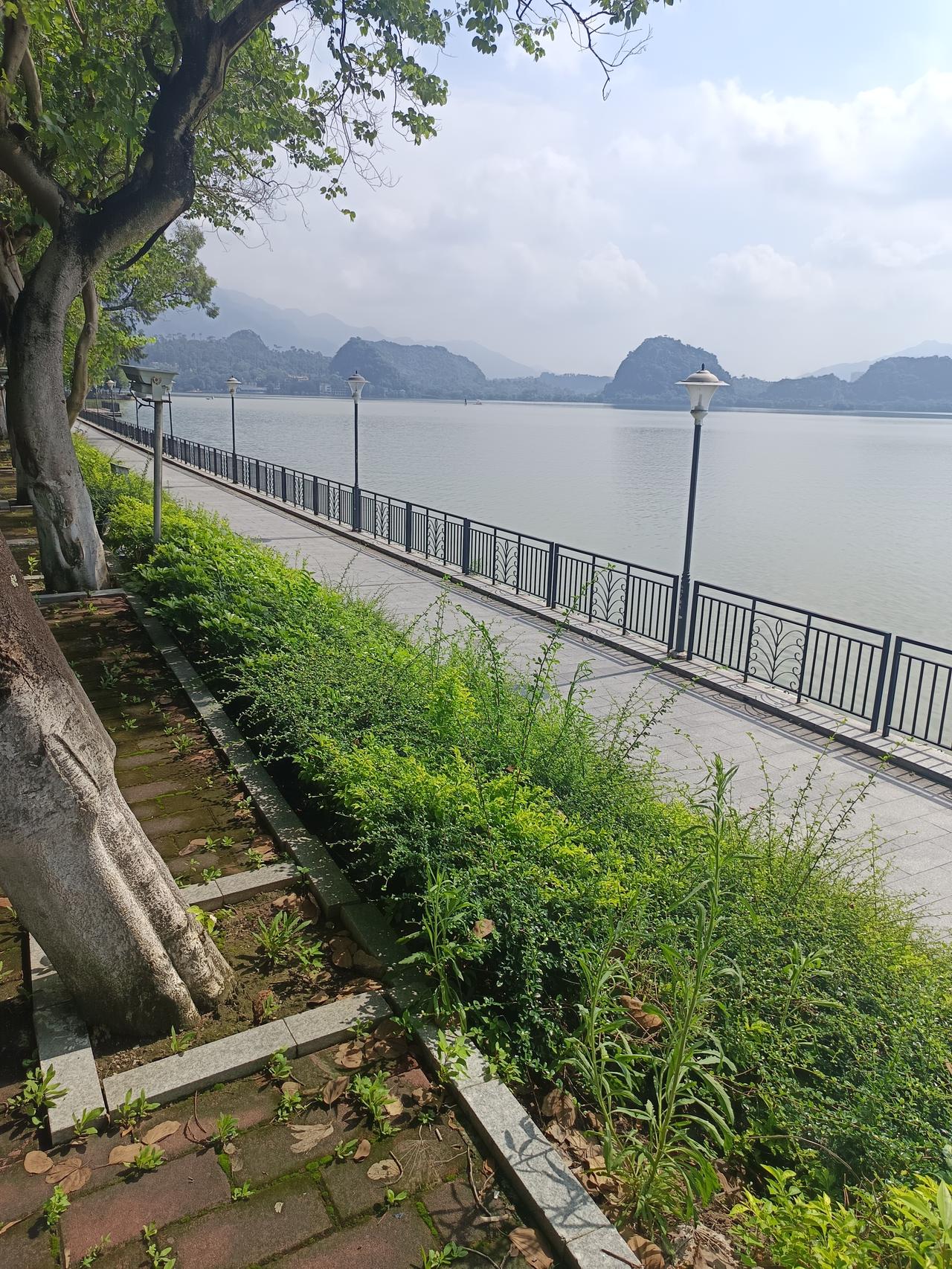 我终于知道了为什么肇庆的星湖是5a级风景区拍出来的照片却依然是这样