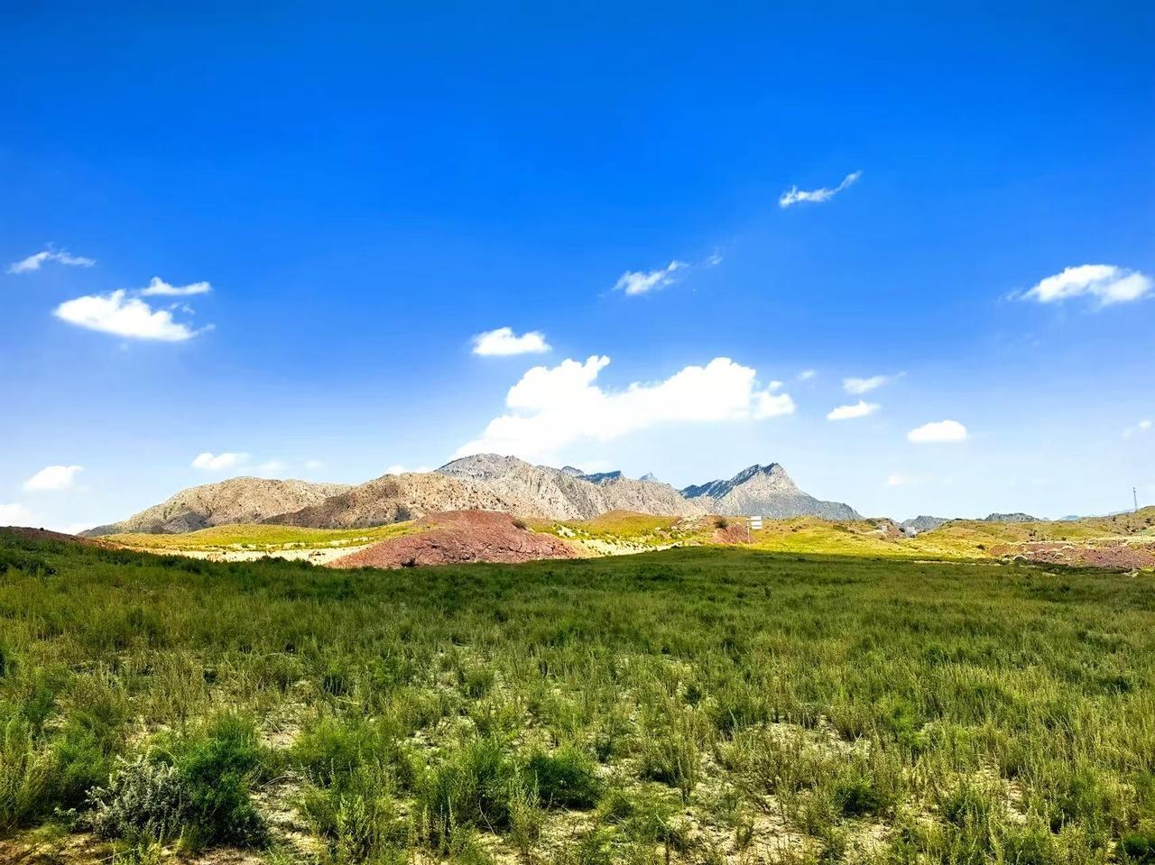 对婆婆比对亲妈好，怎么解释大姐滔滔不绝，我不能再待了，我得赶紧回家，每天晚