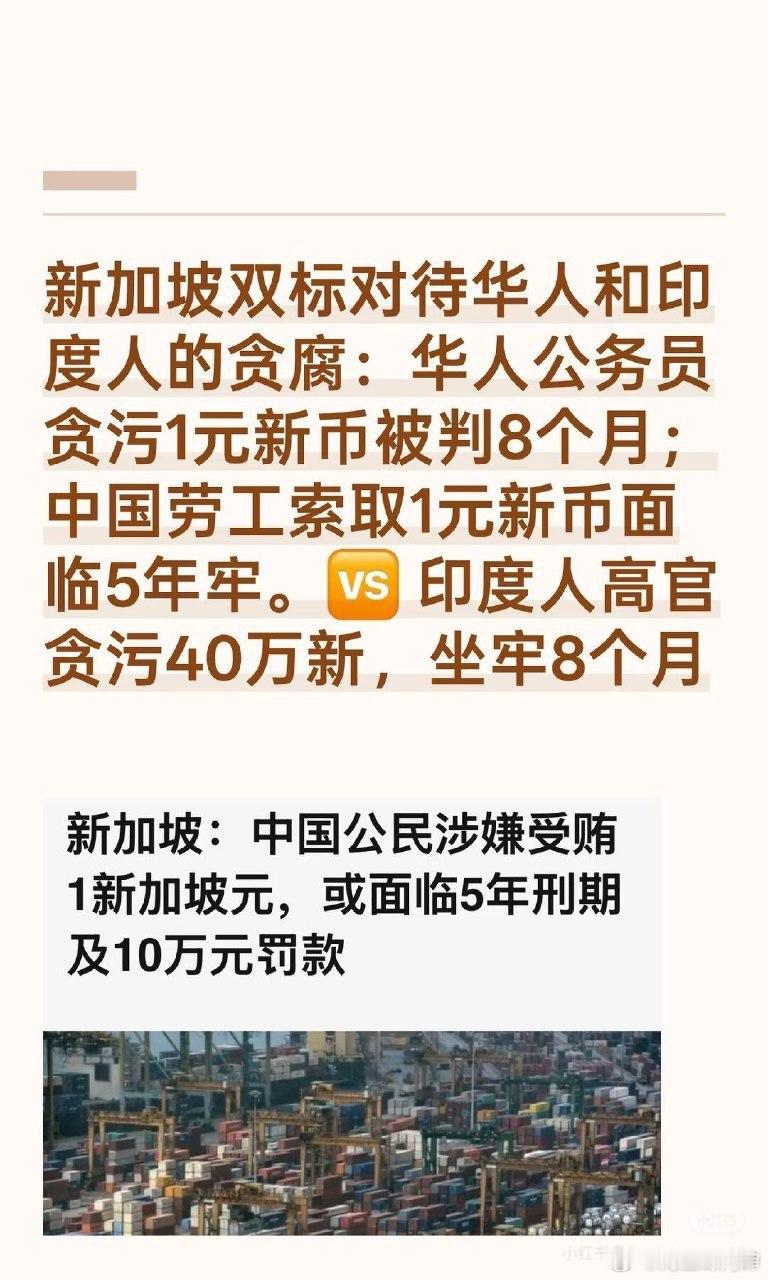 不要叫新加坡了以后改名叫印加坡主打一个华人就坑，三哥就护着👇🏻
