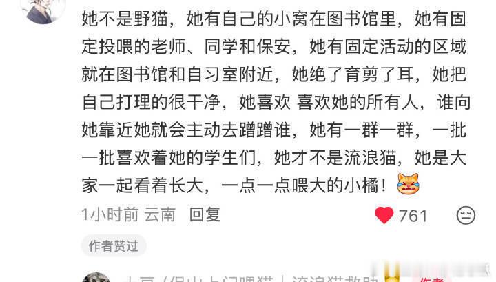 真的好漂亮好有灵气的小猫咪，她还有个可爱的名字小橘！​​​