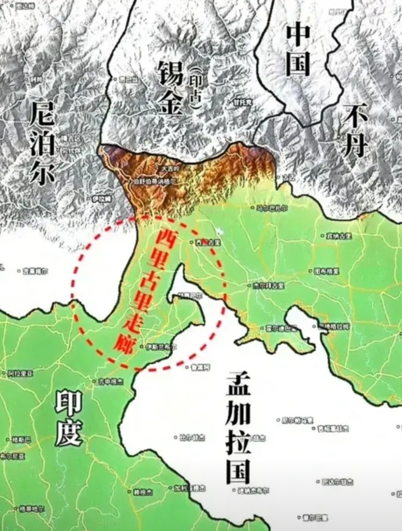 印度的七寸：西里古里走廊打蛇打七寸，我们不光要收回藏南，印度可以策动东巴基斯坦