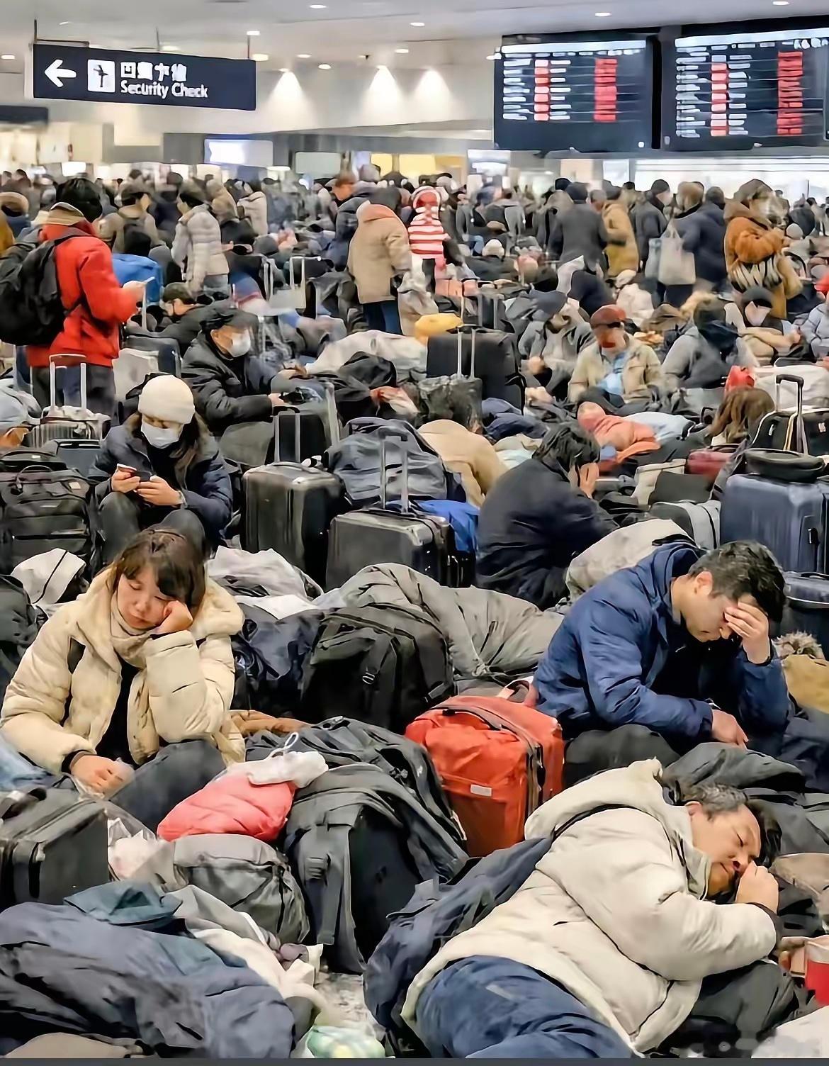 航班取消回不来，早不听劝阻硬闯北海道，别再道德绑架祖国。现在真有个怪圈，一边追求