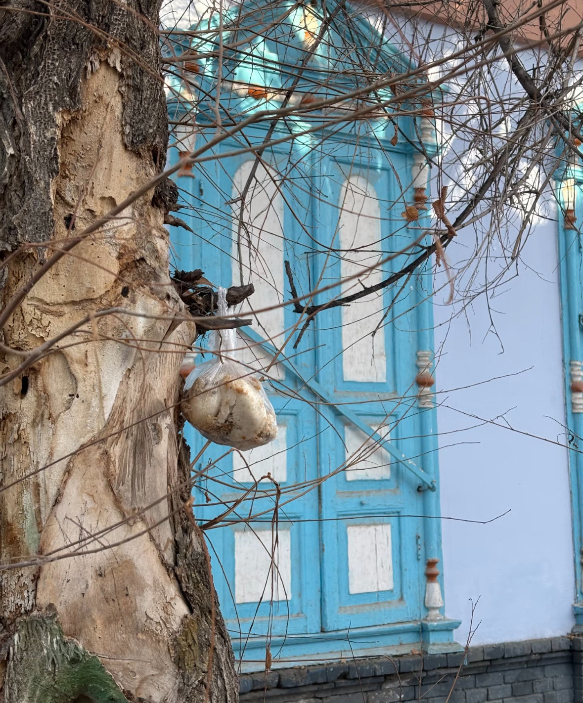 刷到一博主发帖问为何新疆伊宁路边树上挂着那么多剩饭剩菜，评论区好多新疆IP的网友