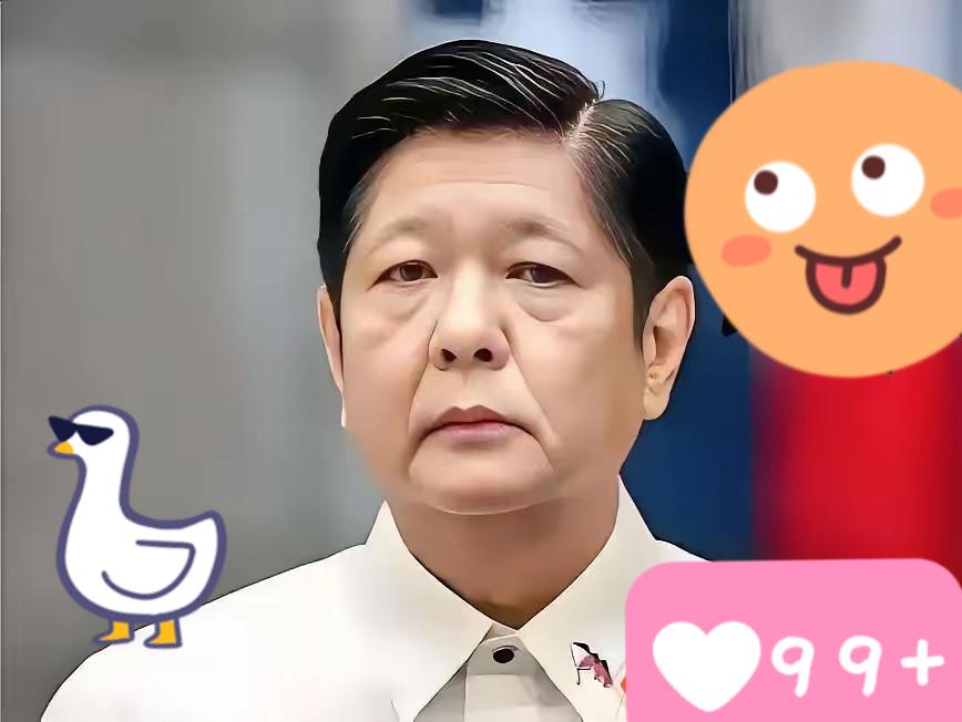 快报，快报菲律宾正式宣布11月9日，菲律宾国家减灾委传来揪心消息，台风“海鸥