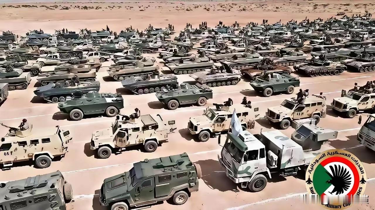 巴基斯坦真给力，都用不着我们出手！巴基斯坦一行动，苏丹军队就突然有能力，摆出大规