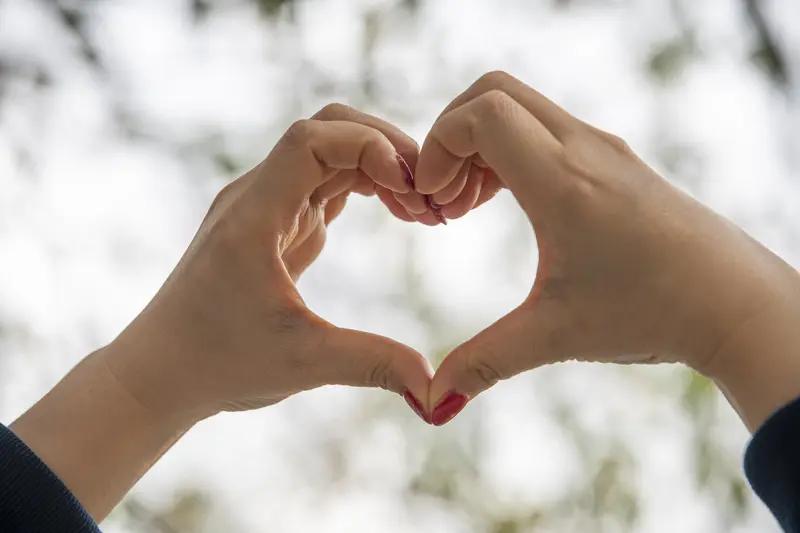 “画龙画虎难画骨”，这句上联太有韵味了。它把画技的难度上升到对事物本质把握的高度