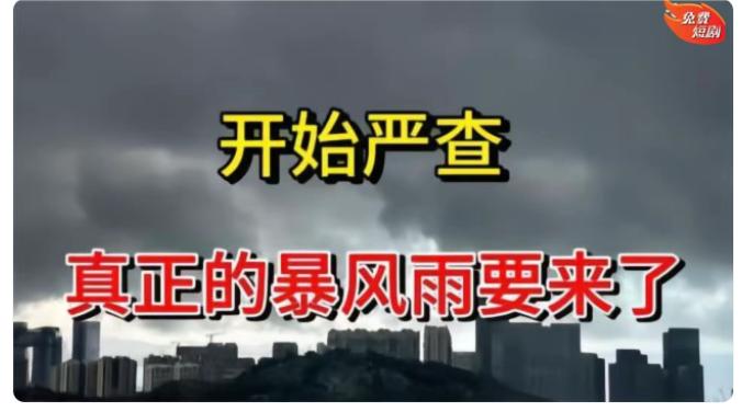 中央出手进行严查严打冤假错案必须依法进行严查，对制造冤假错案的人必须依法进行严