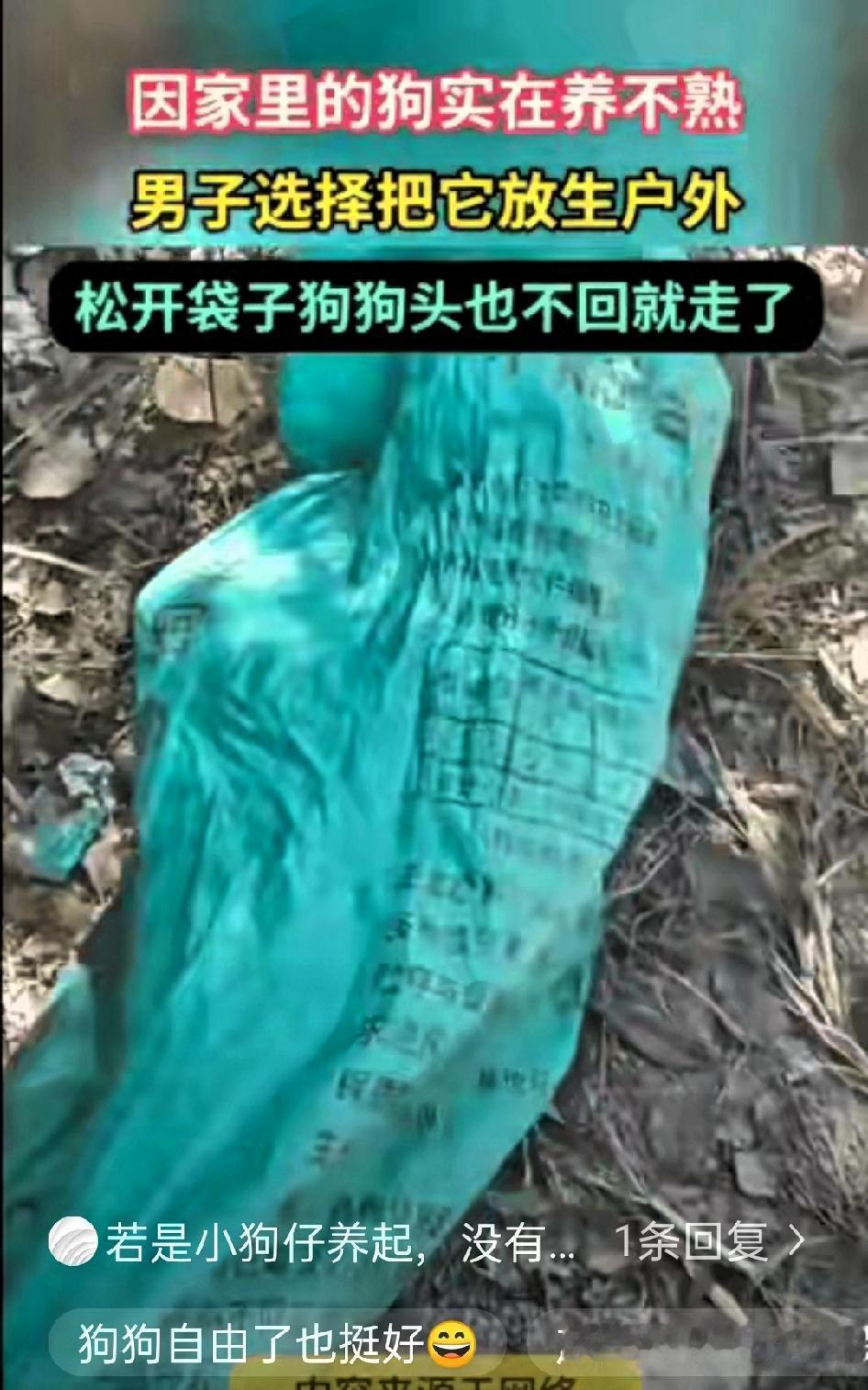 河南，一男子发现自家狗怎么都养不熟，就把狗装进麻袋带到户外放生找了个麻袋把