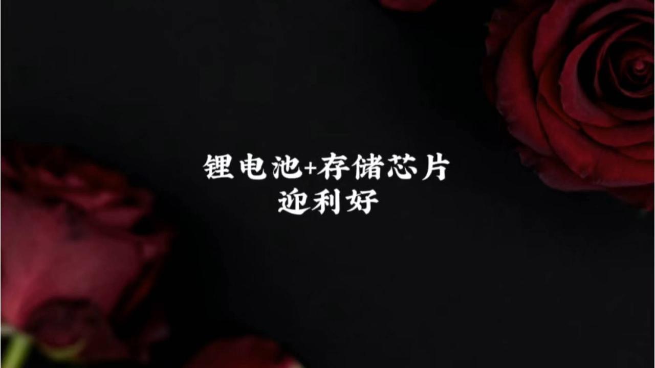 锂电池与存储芯片行业迎来利好机遇