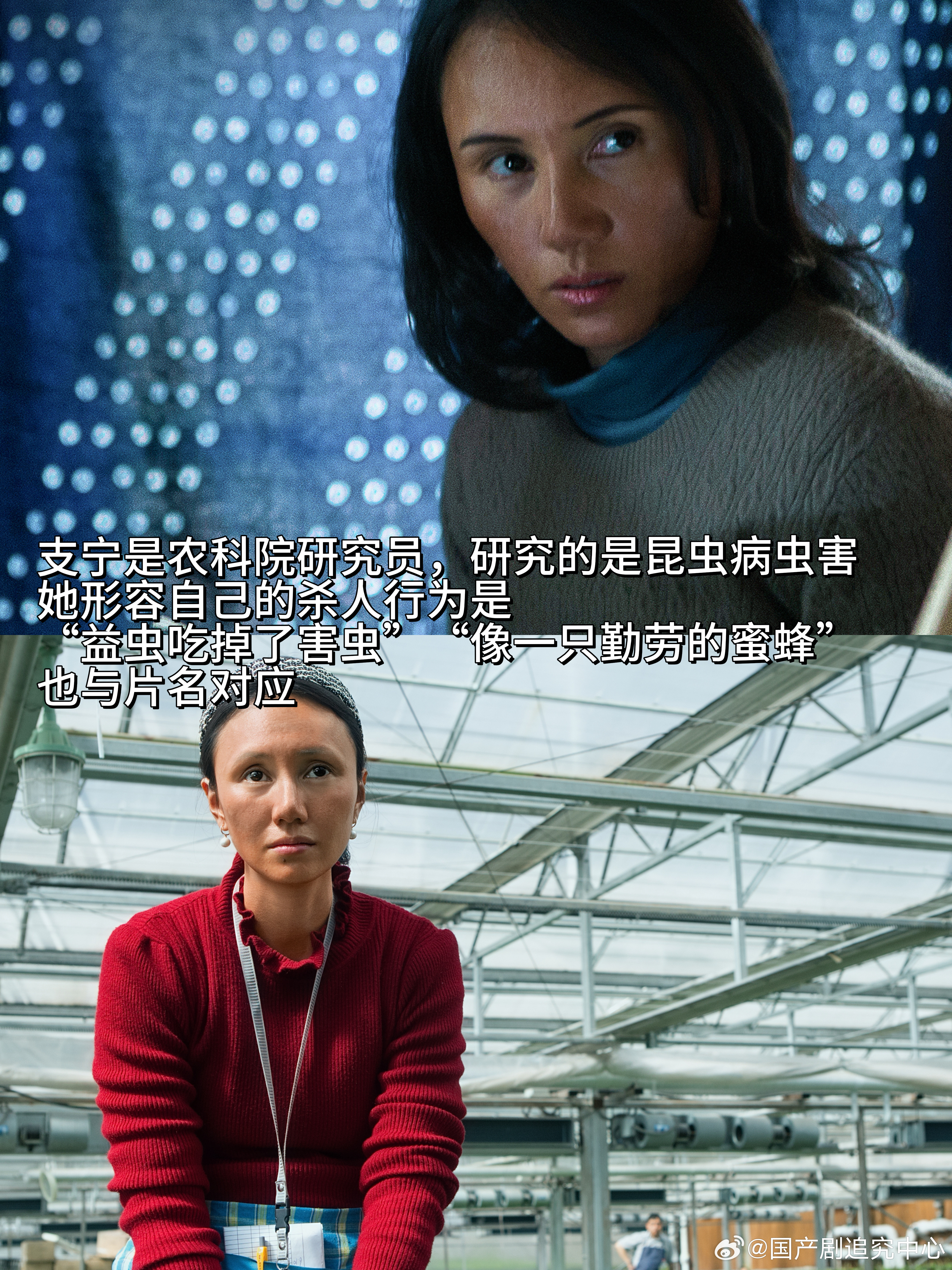 真正的老娘电影来了孤僻支宁、飒爽阚天天、藏锋澹台莺、挣脱兰若心，四个女人一台戏，