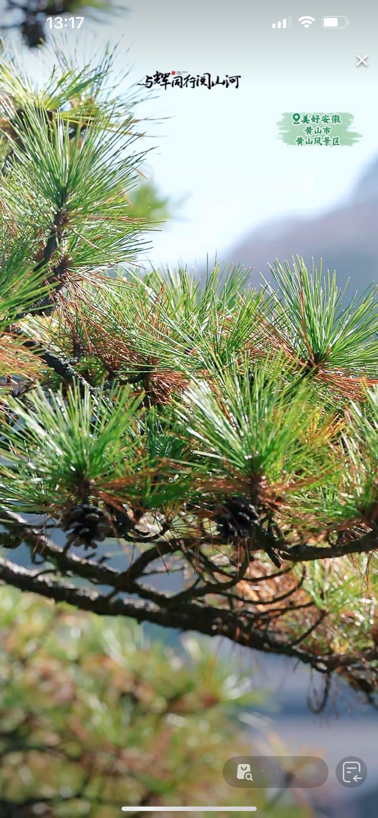 昨天又是好日子，与辉同行直播数据又又又那么耀眼。全天直播16小时，GMV7