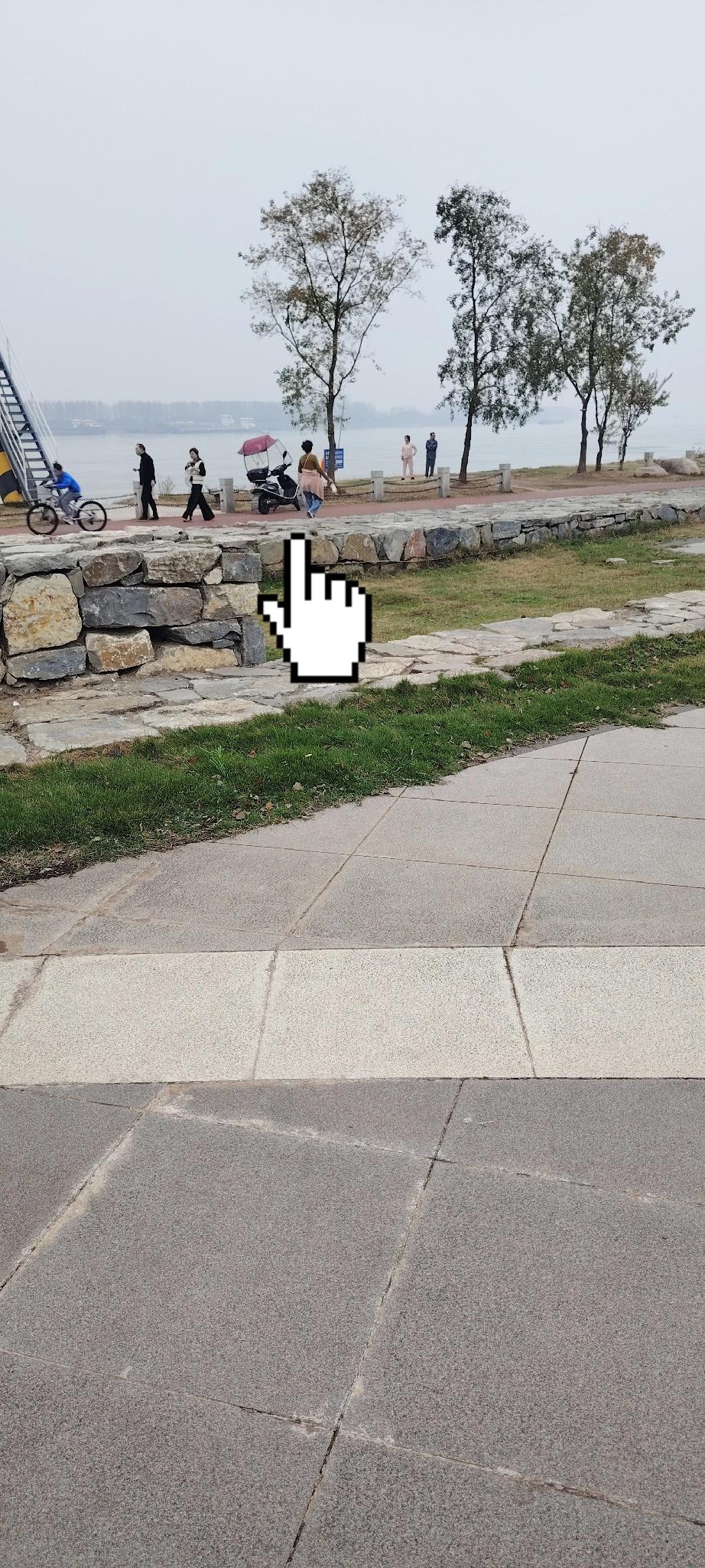 最美养狗人，在沿江公园看见的。人在公园遛狗，狗在草地上撒尿拉屎再正常不过。总在视