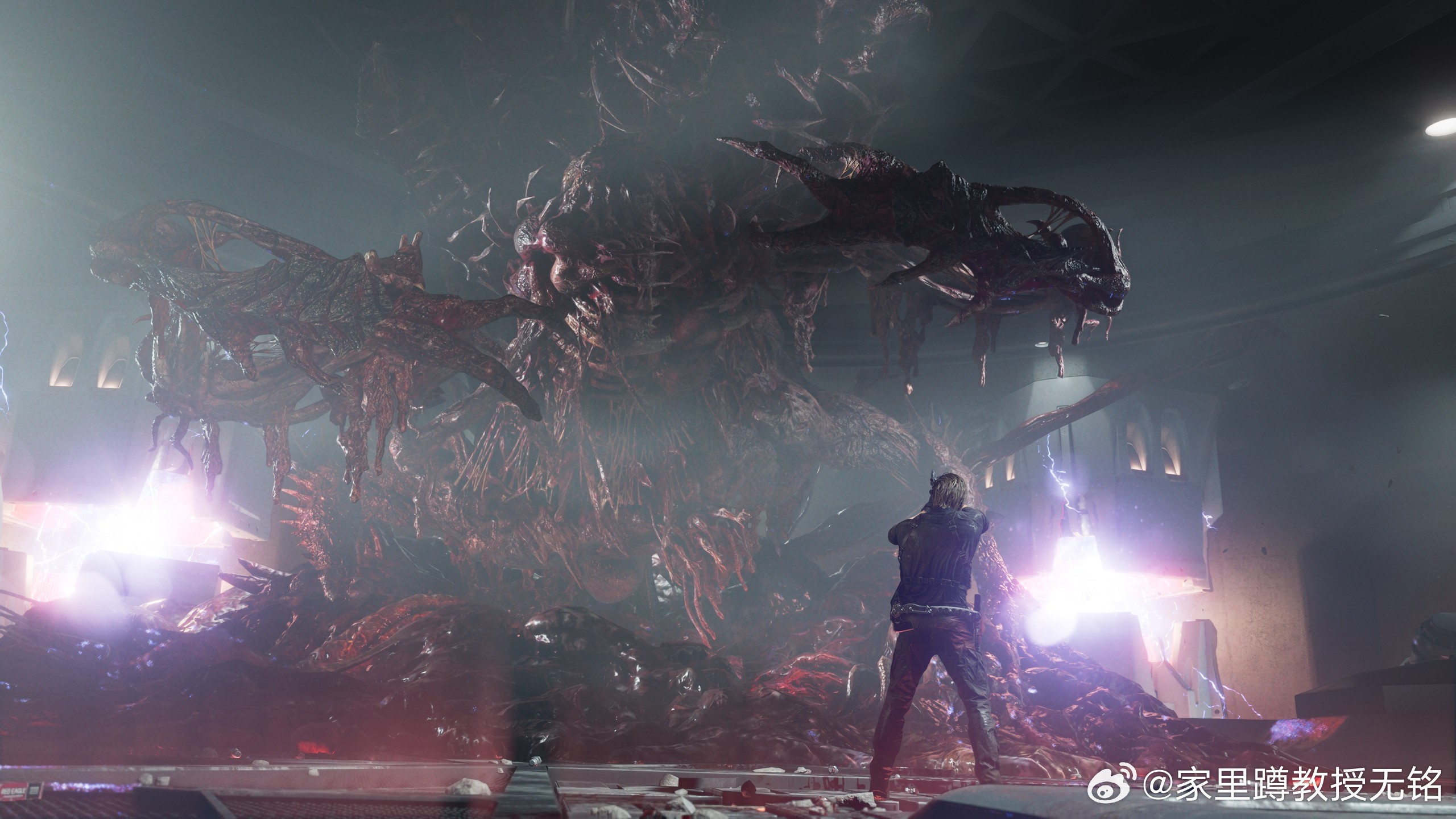 生化危机9通关！全收集慢慢玩15小时~有意思的是这游戏有俩结局，一个好的一个坏的