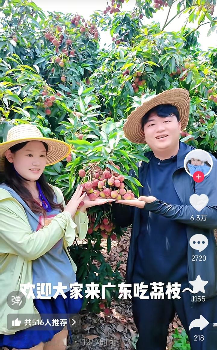 放下奖牌光环，张家齐奔赴茂名高州，跟着全红婵兄长全进华走进荔枝园助农。盛夏烈日炎