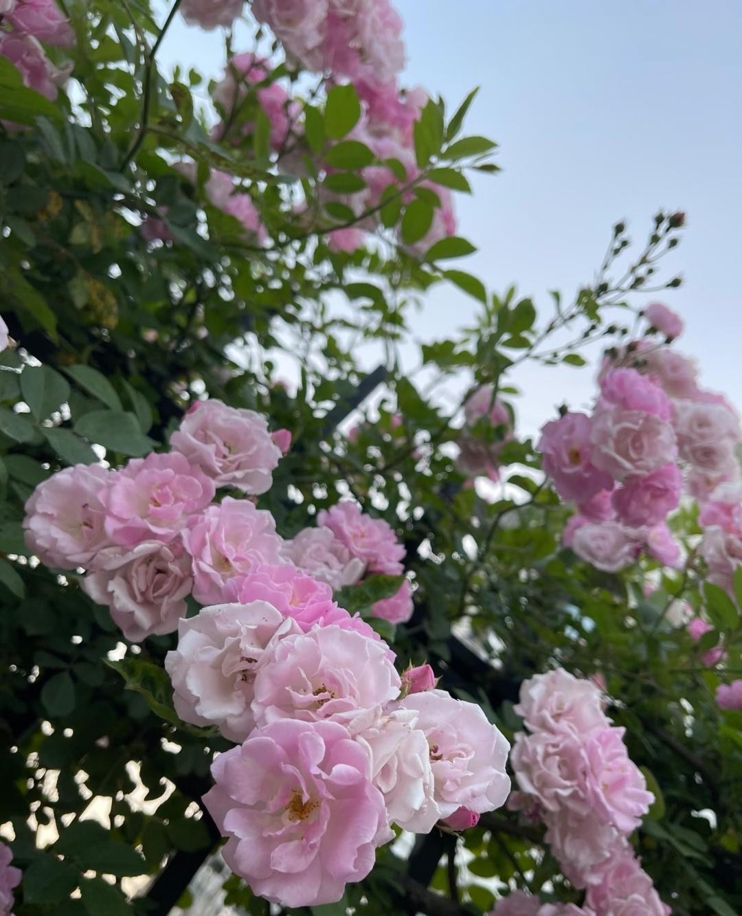 今天听说一件离谱的事我们楼下邻居已经资产几千万了，他儿子结婚没有给女方彩礼，也