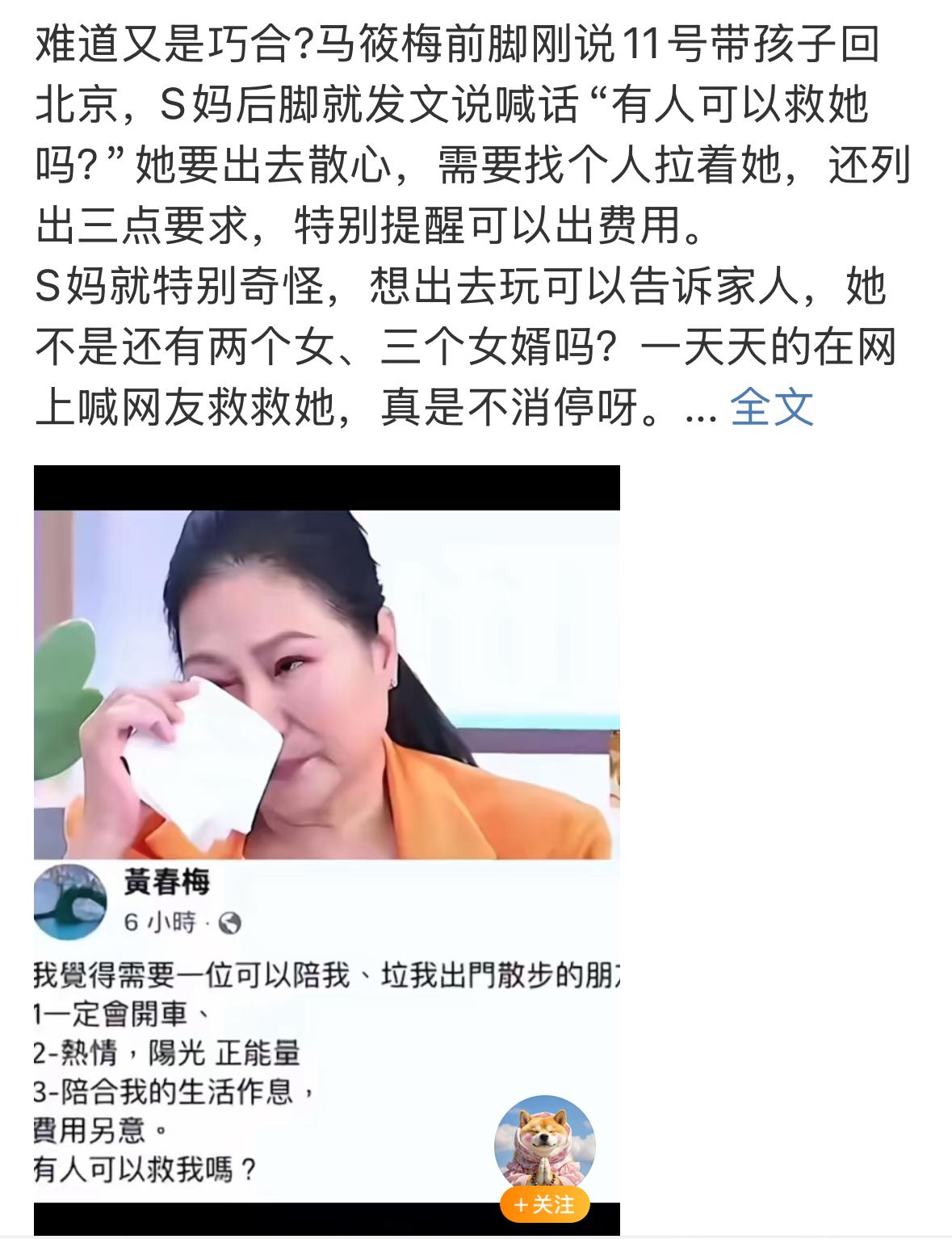 小梅现在都是小菲的得力助手了，小菲安心工作，小梅负责照顾孩子们。她负责把孩子们带