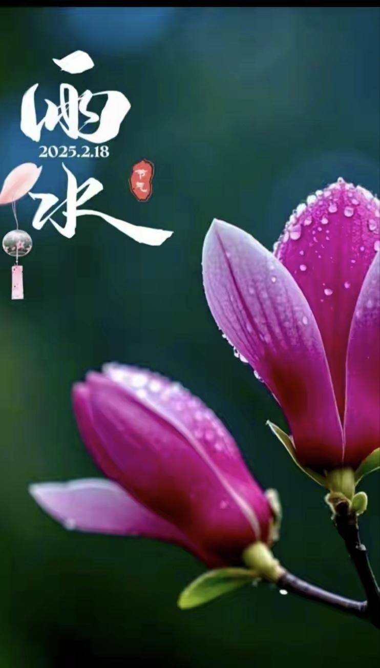 《七律•春雨》作者：转转看到薄雾冉冉遮远黛，细雨濛濛润花开。碧柳挂珠