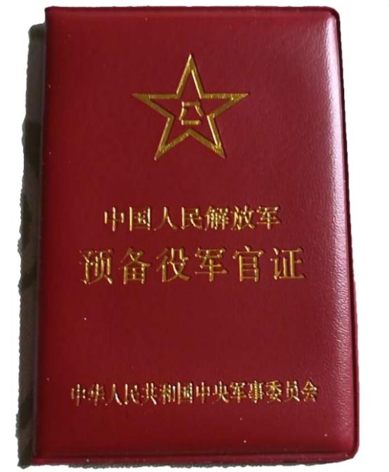 秦安：中央军委重大举措，全军统一行动，这是做好扎实的战争准备工作！ 就在这股