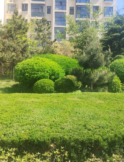 公公去世三年了，昨天吃饭的时候婆婆突然想起问我一句；你爸生前用的那个碗是谁扔的？