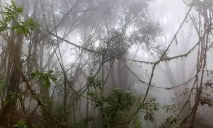 四川深山里，藏着一个连国家都管不住的地方。明朝封了它一次，清朝又封了一次，从万历