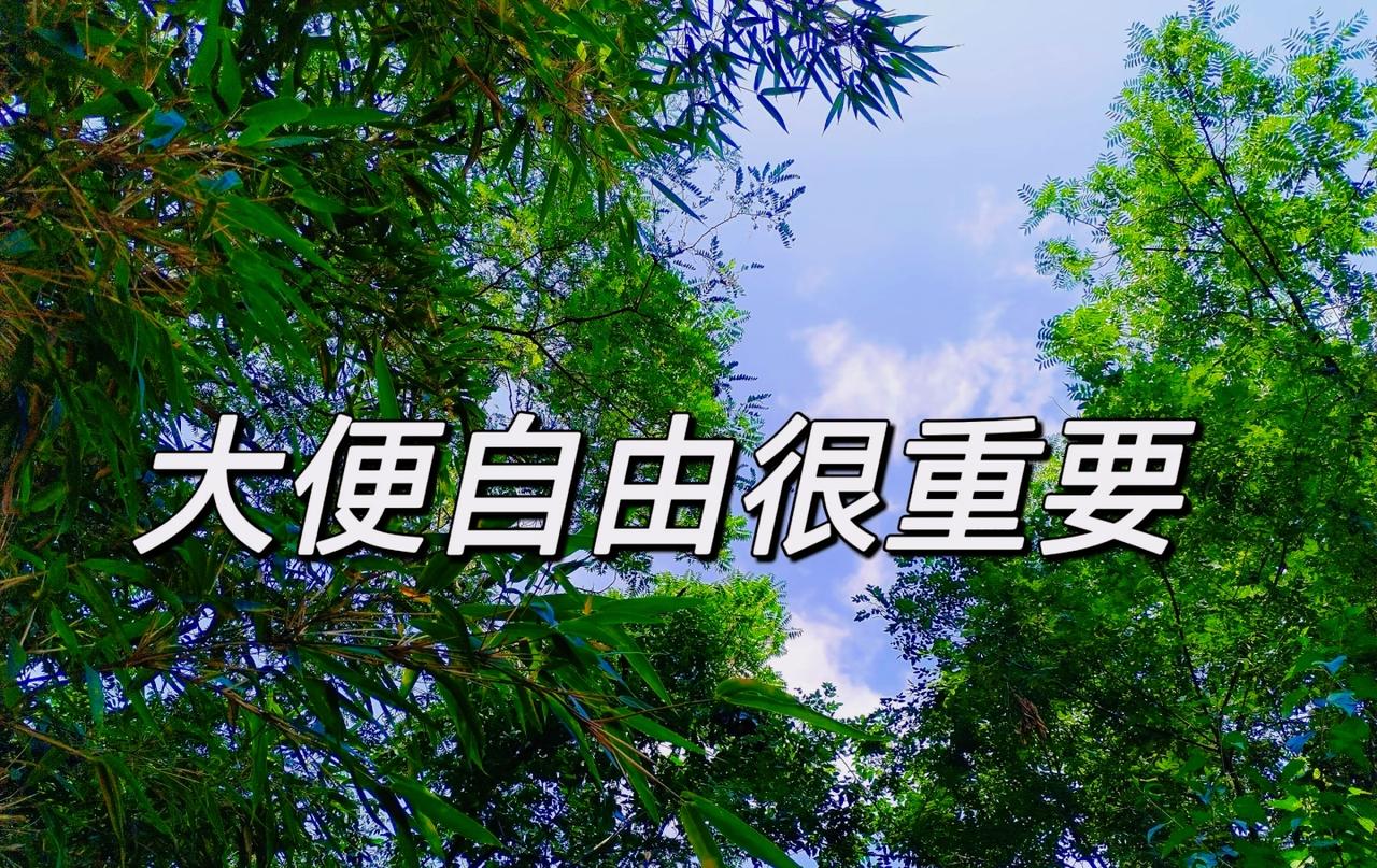 告诉你一个比较脏的秘密：人到中年，只要你每天的大便排的顺畅有规律，你的身体没多大