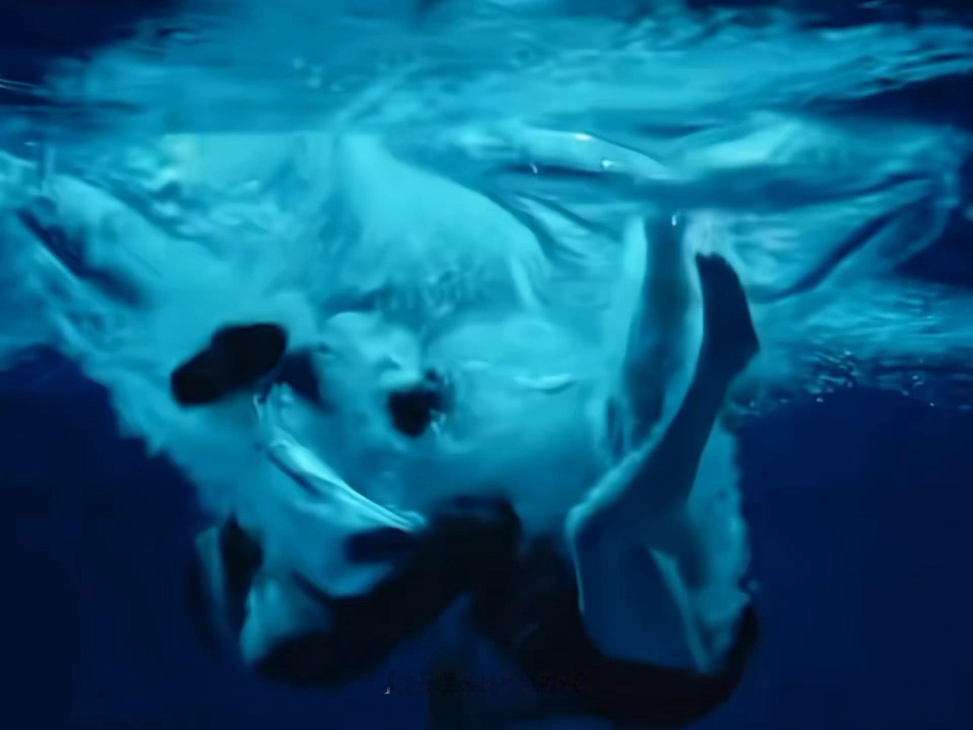 好神圣的一张图啊……🥺🥺蔡文静井柏然这趴也太仙品了吧～😍钢铁森林请把绝美水