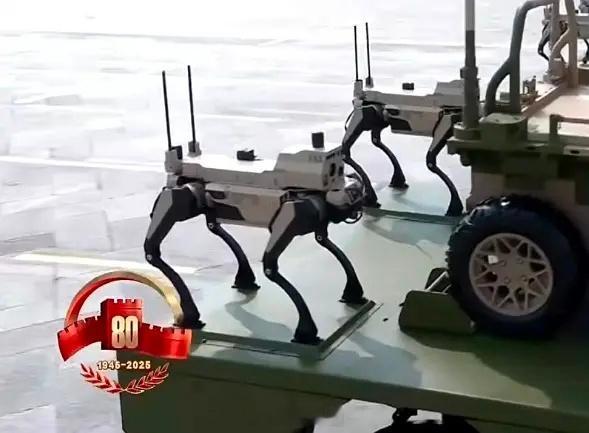 给大家看一些国民级萌物。。真的是国民级！全国震撼！拍出来胖胖的。。实际上很大一只