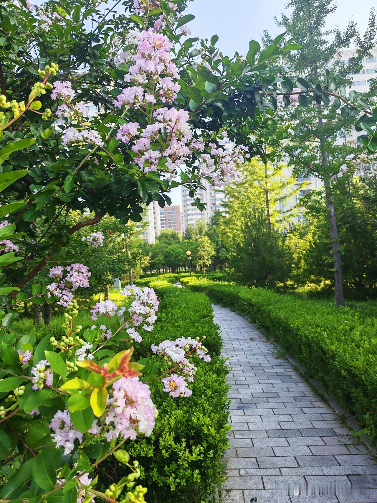 我妈上次出院后，我不是给她从医院营养科开的营养粉嘛，我妈喝了这段时间感觉很好。