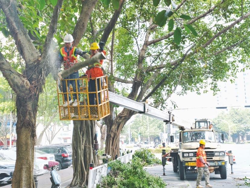南宁19条道路大变样！剪几刀，夜晚竟亮了七成晚上骑车摸黑走、路灯被树叶“吞掉