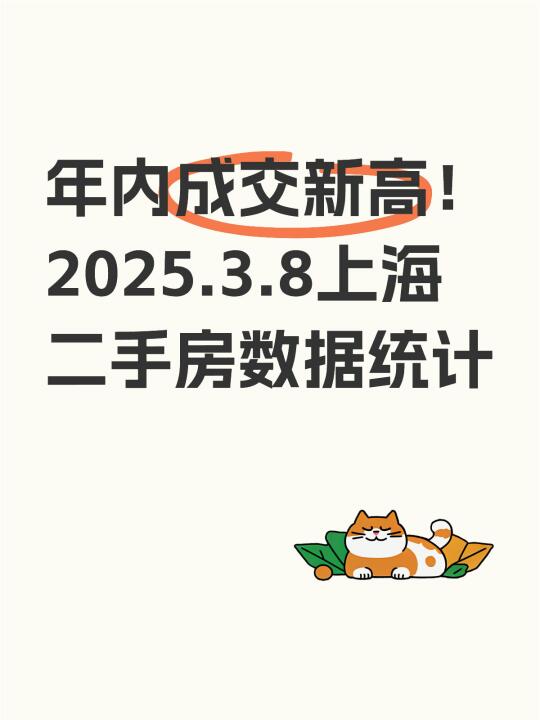 年内成交新高！2025.3.8上海二手房数据统计