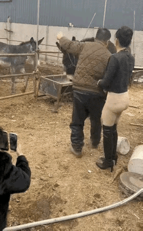 见过驴驮人的没见过人背驴的